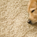 Zusätzlicher Teppich trotz Fußbodenheizung?